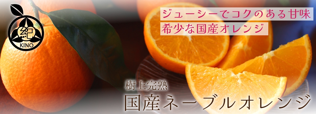 早生温州みかん【 秀品 M サイズ 10kg 】 | みかん,早生温州みかん