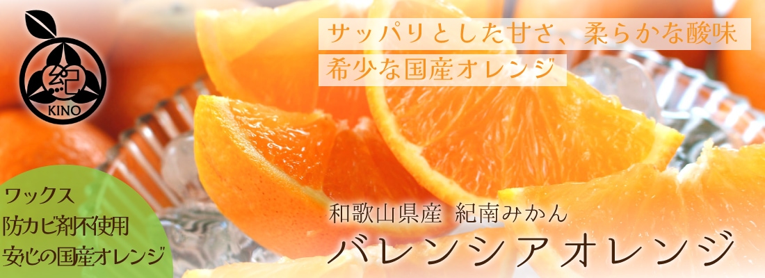 南高梅 青梅 本場紀州産 クール便 送料無料<br> 【 訳あり 10kg