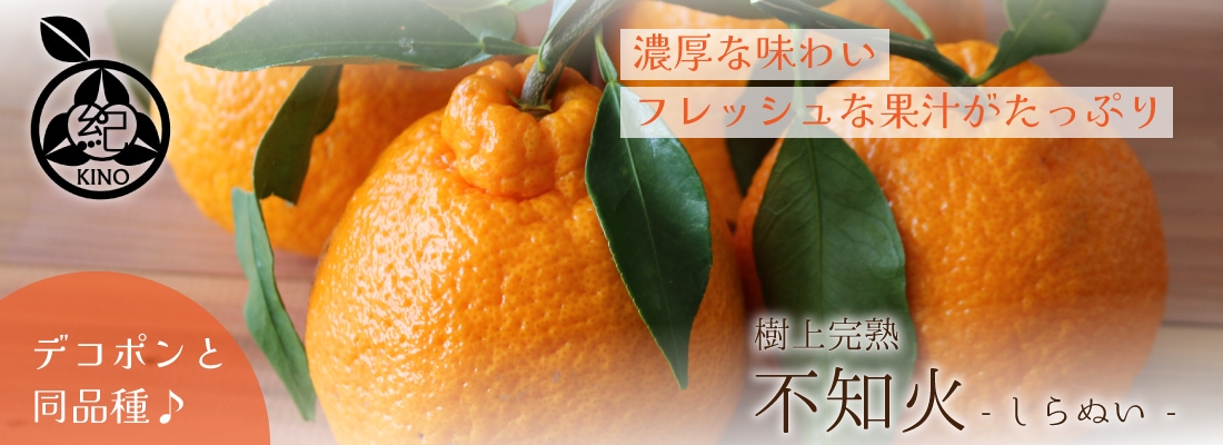 早生温州みかん【 秀品 S サイズ 3kg 】 | みかん,早生温州みかん