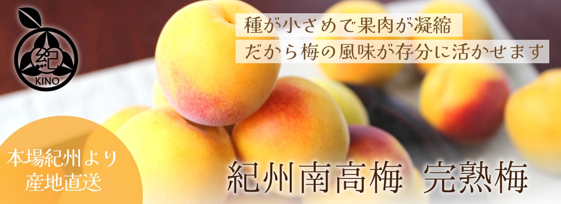 南高梅 完熟 本場紀州産 クール便 送料無料<br>【 3L サイズ 5kg