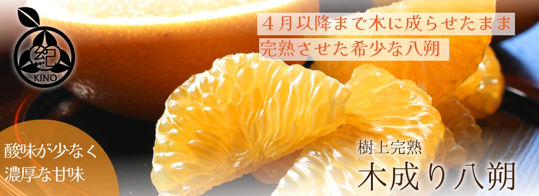 ■とんちゃん 清見オレンジ 秀品 小玉サイズ 2箱■ □とんちゃん様専用 清見オレンジ 秀品 小玉サイズ 2箱□ - メルカリ