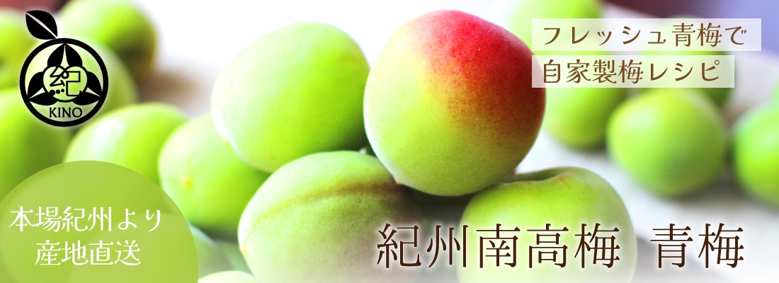 雪月花様　完熟梅　3Kg 大粒サイズ（午前指定） 南高梅 完熟 本場紀州産 クール便 送料無料【 3L サイズ 5kg 】紀州南