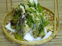 天然 はりぎり （ センノキ ） 販売 【 天然きのこ山菜.com 】