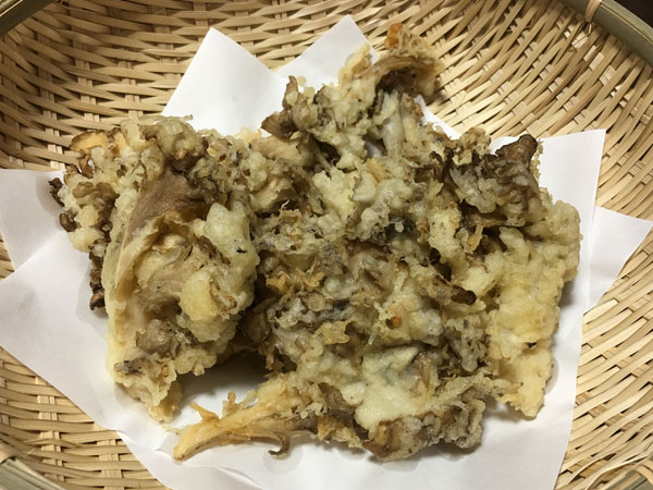 舞茸 （ マイタケ ） 販売・通販 【 天然きのこ山菜.com 】