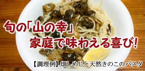 天然 畑しめじ （ ハタケシメジ ） 販売・通販 【 天然きのこ山菜.com 】
