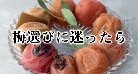 梅選びに迷ったら