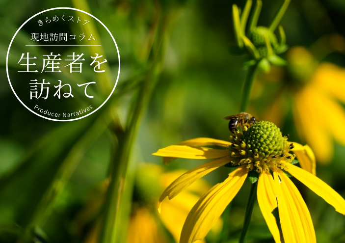 良質でおいしいはちみつを求め続けて　アカシア・百花はちみつセット