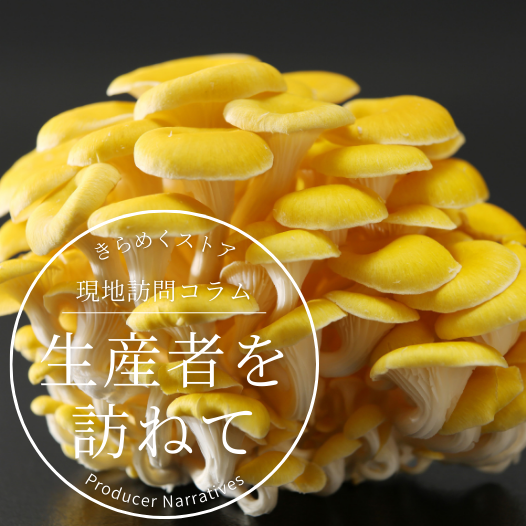 【幸せをよぶ？！黄色のキノコ】“幻のキノコ”をご紹介