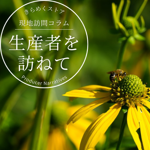 アカシア・百花はちみつセットをご紹介