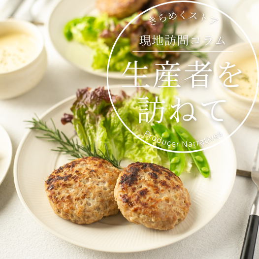 【豚本来の旨味をそのままに】Ｂ１とんちゃんハンバーグ