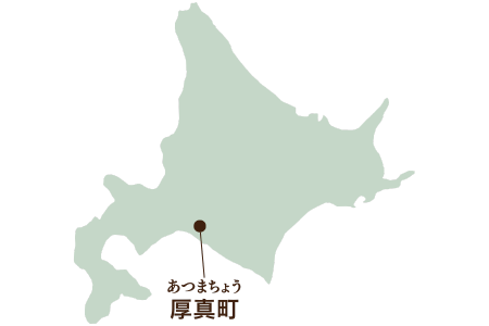 北海道厚真町 地図