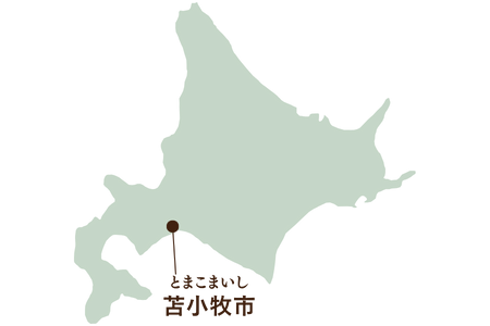 北海道苫小牧市 地図