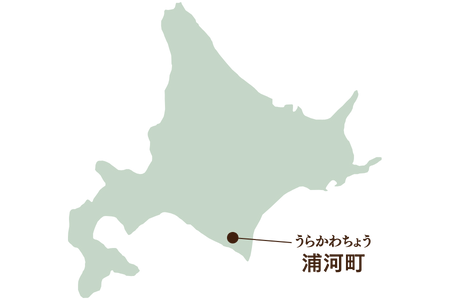 北海道浦河町 地図