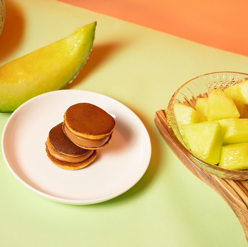 北海道 洞爺湖町 どらきゃら メロン