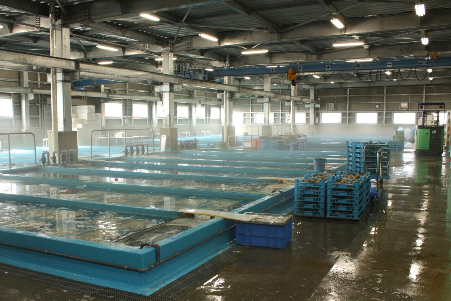 北海道 マルゼン食品 北寄 貝