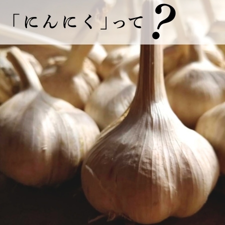 「にんにく」って？