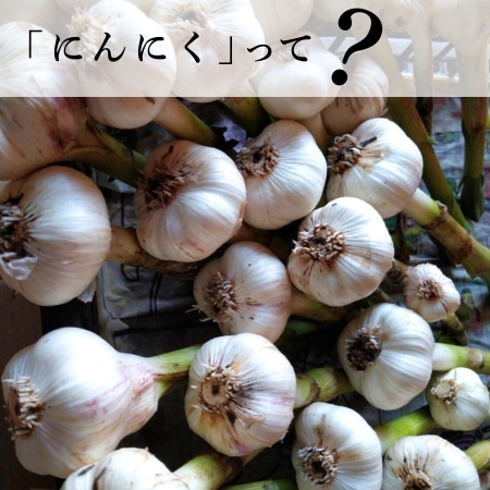 「にんにく」って？