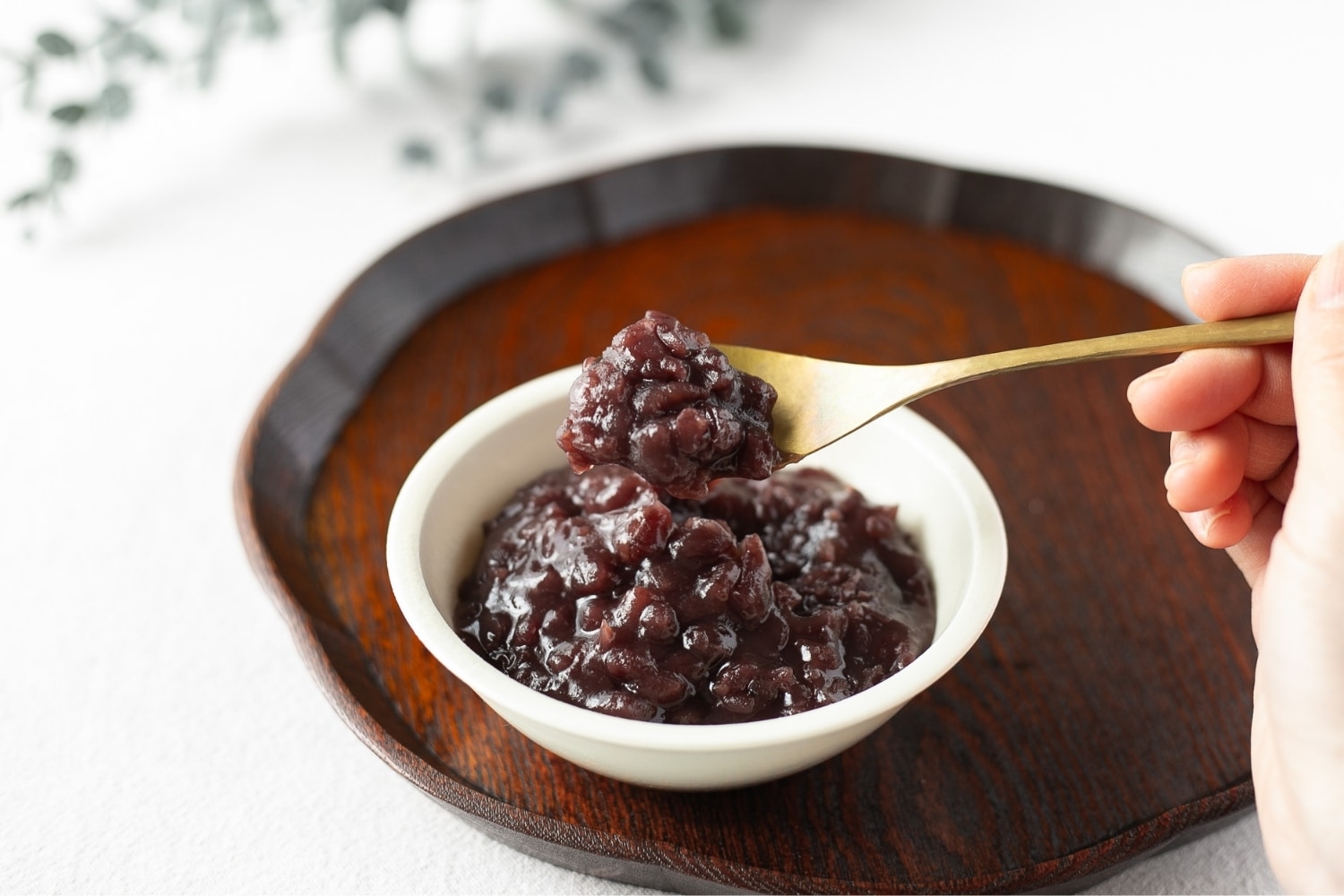 北海道産あんこがチューブに入った九十九アン子