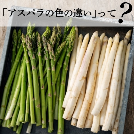 アスパラの色の違いって？