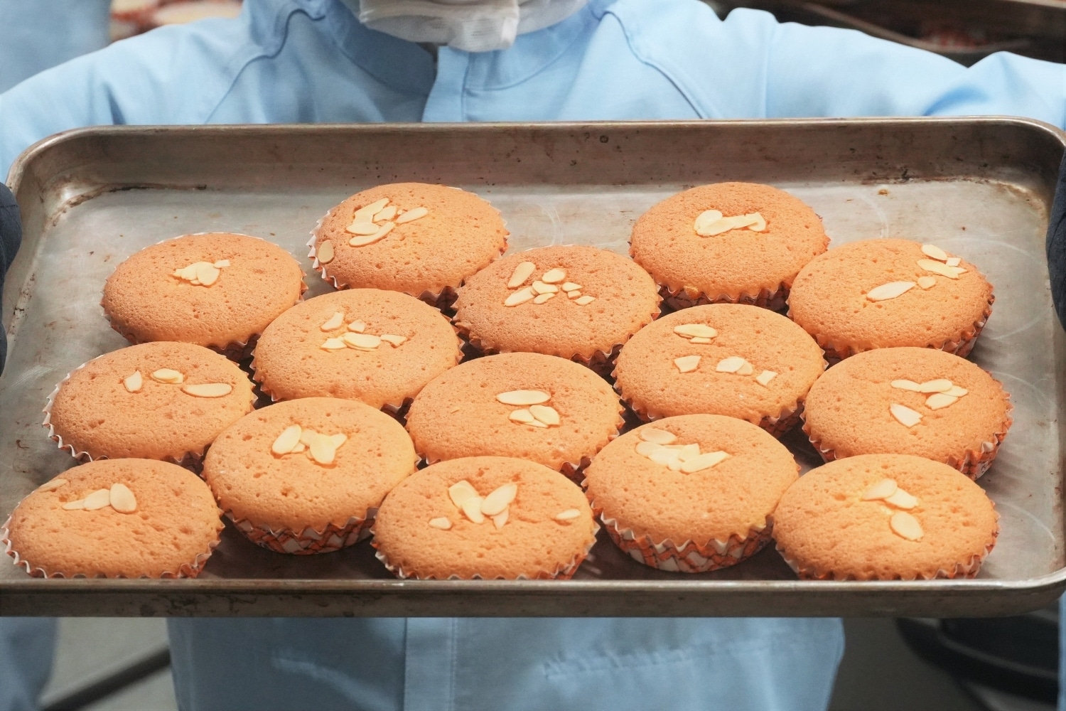 北海道産 白老 まいこ マドレーヌ