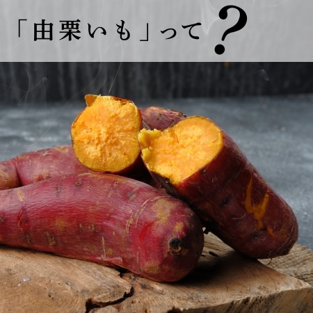 「由栗いも」って？