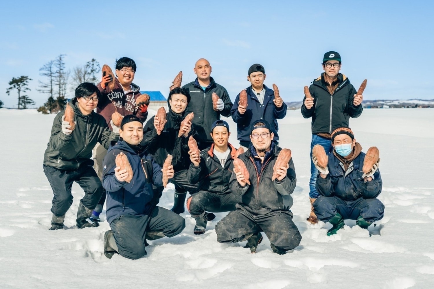 北海道産 白老 まいこ スイートポテト 由栗いも