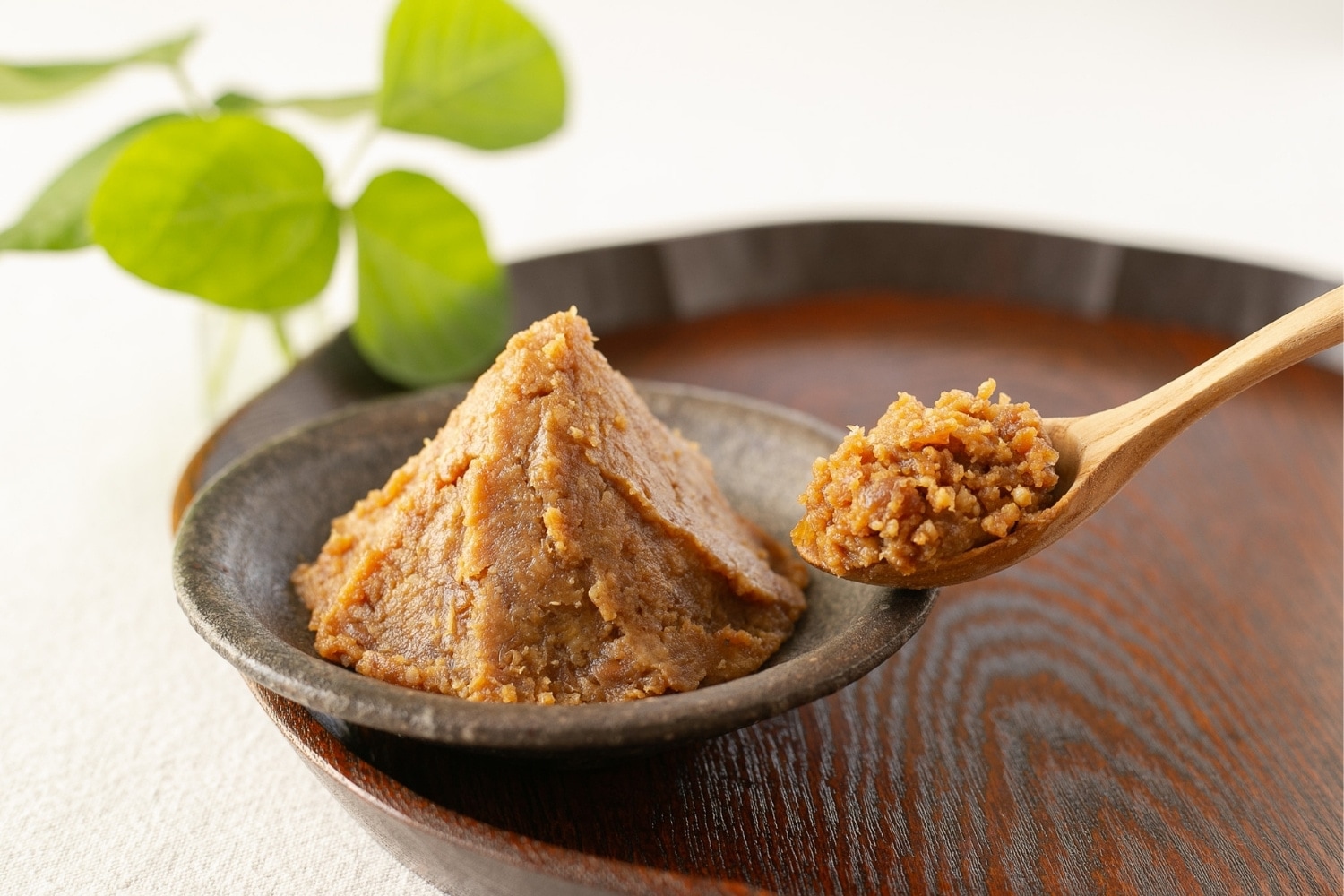 北海道 砂川 たびのそら 手作り 味噌