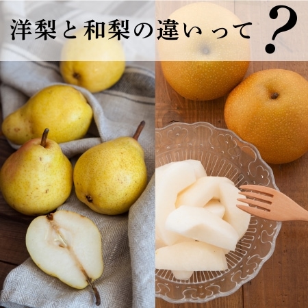 洋梨と和梨の違いって？