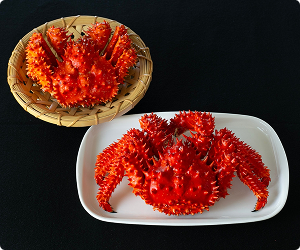 【道東の幻】旬の国産花咲ガニ　400g前後×贅沢2尾セット