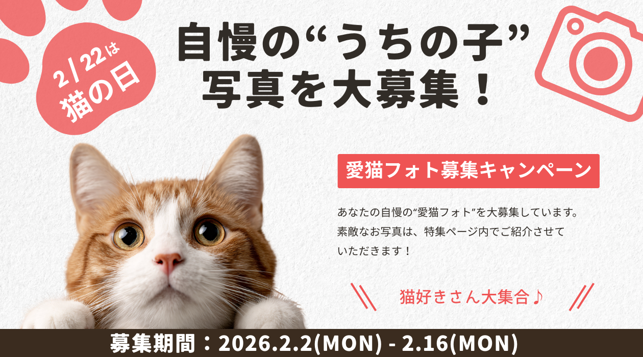 ファーストビュー