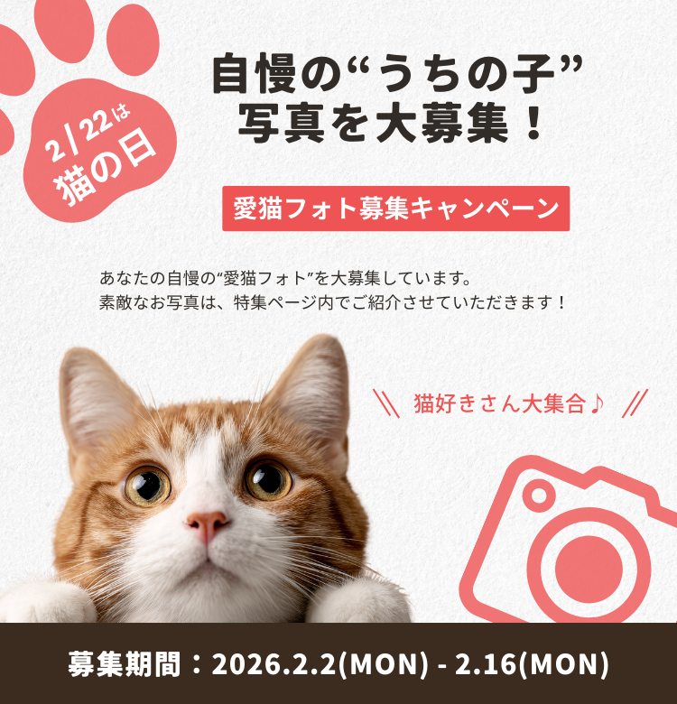 2026年愛猫フォト募集キャンペーン｜きらめくストア - 北海道のお取り寄せギフト