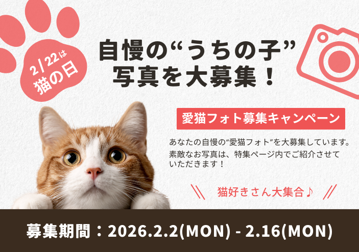 2026年愛猫フォト募集キャンペーン｜きらめくストア - 北海道のお取り寄せギフト