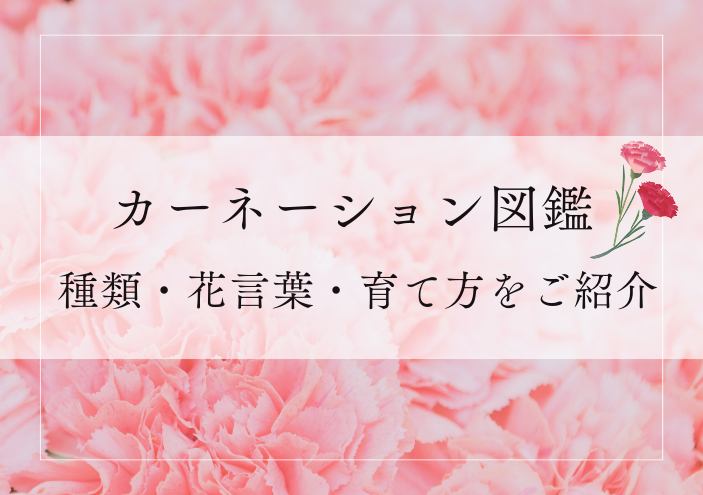 コラム画像