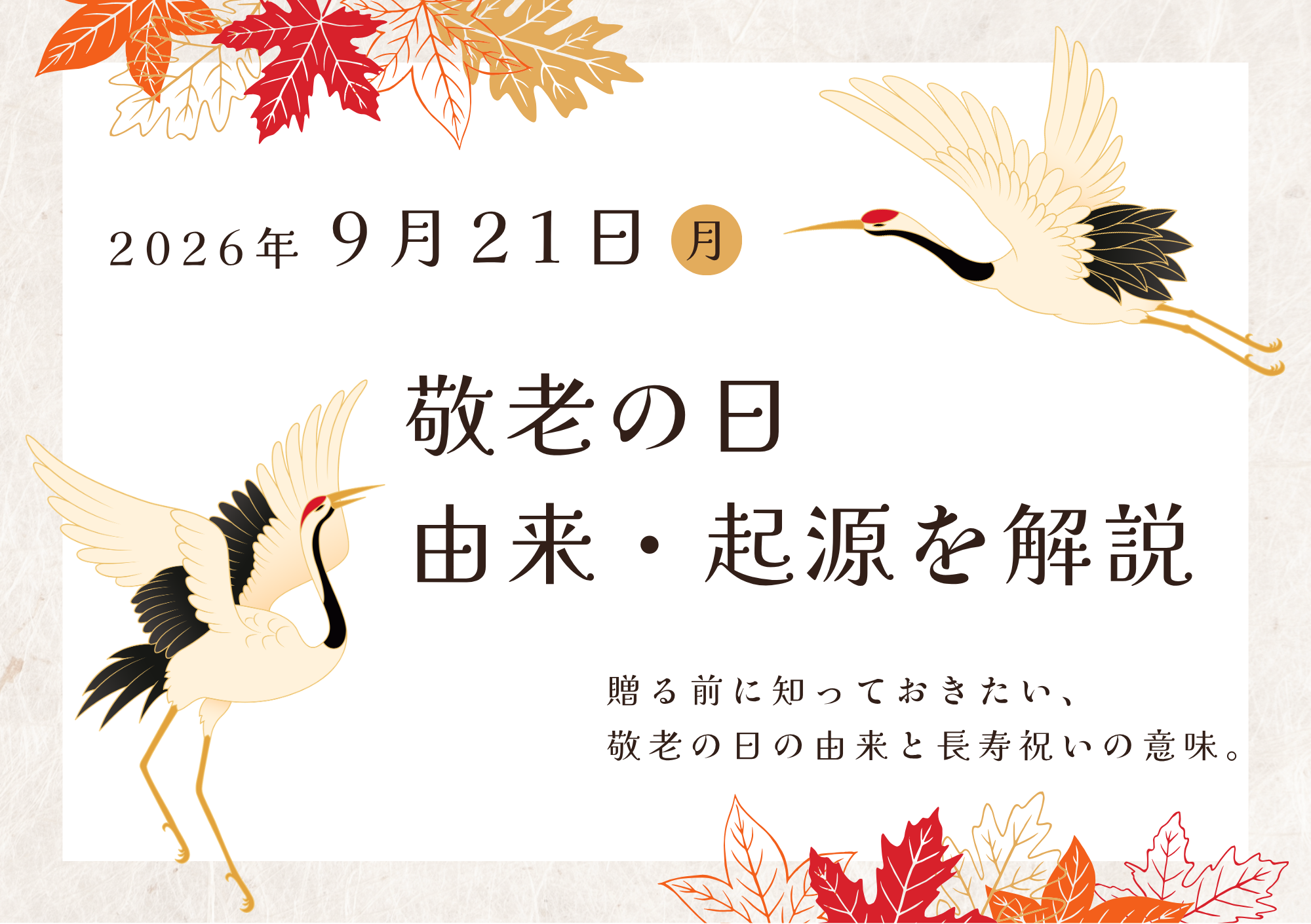 コラム画像
