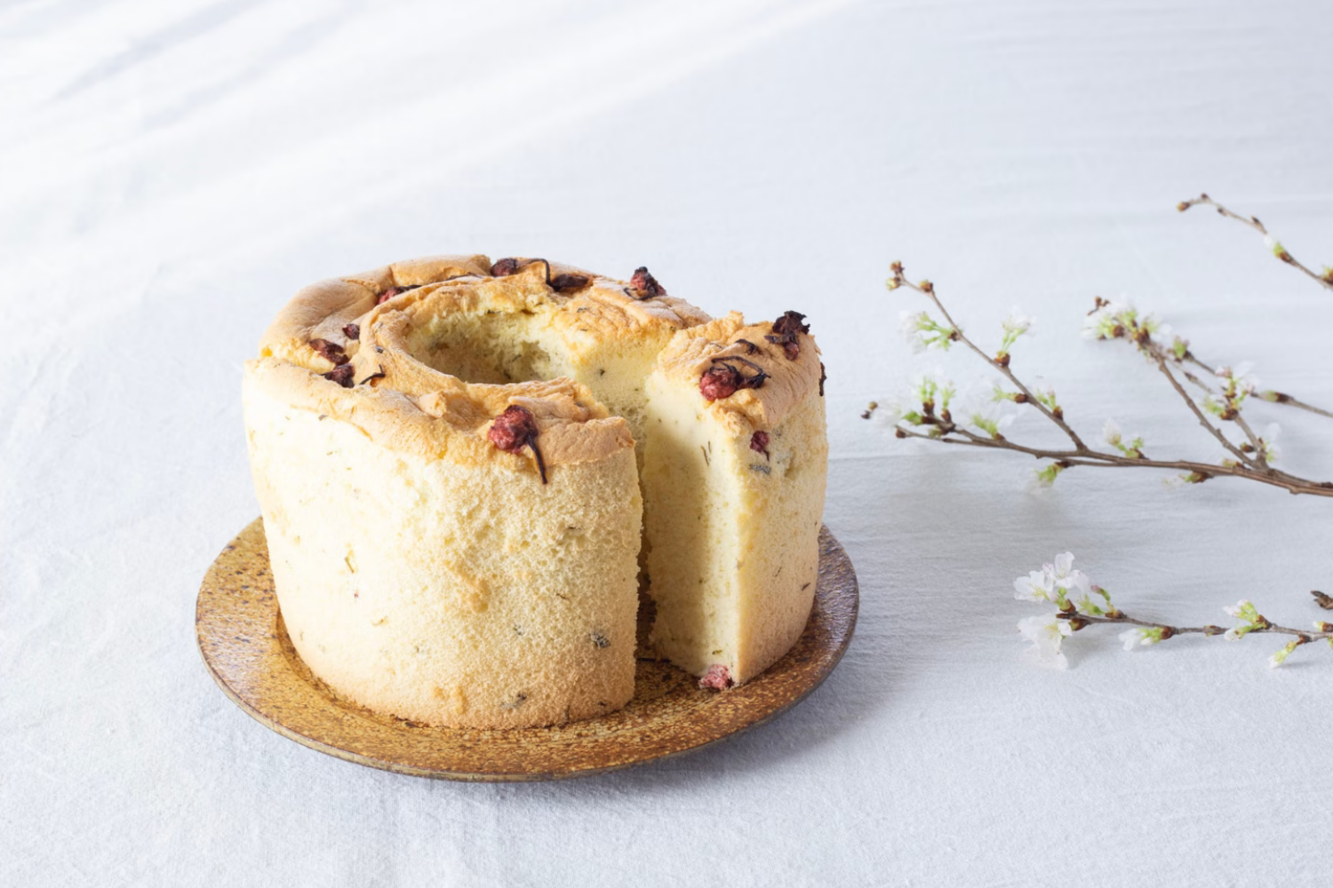 【期間限定】さくらのしふぉん