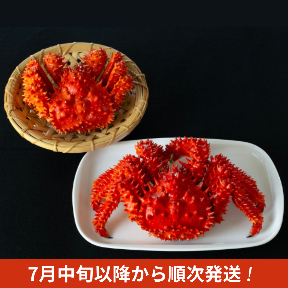 【道東の幻】旬の国産花咲ガニ　400g前後×贅沢2尾セット