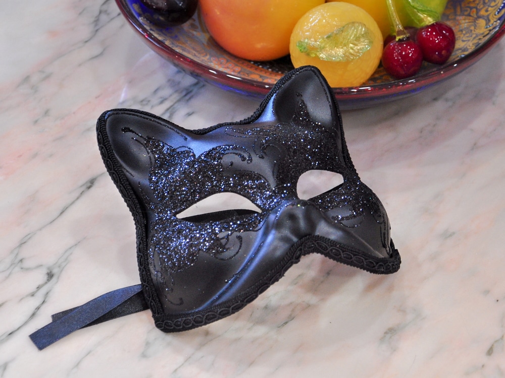 VenetianMask_cat8.jpg