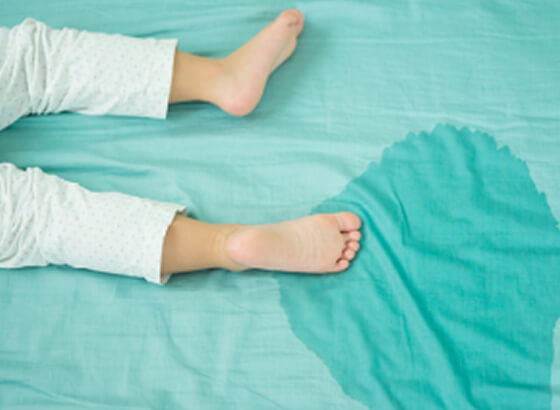 おしっこによるシミやヨゴレ