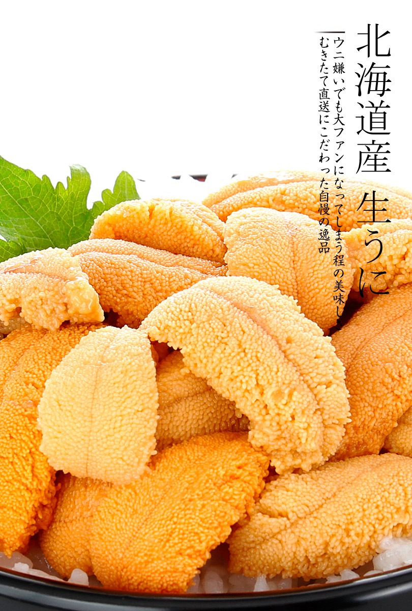 ムラサキウニ 80g 塩水パック入り