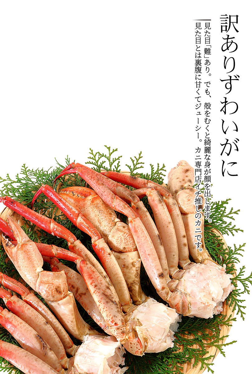 まるずわいがに 足 1kg 3肩前後入 かに カニ 蟹 ズワイガニ ずわい蟹 足 鍋 取り寄せ