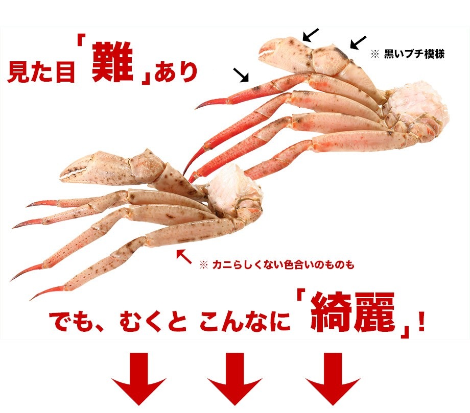 まるずわいがに 足 1kg 3肩前後入 かに カニ 蟹 ズワイガニ ずわい蟹 足 鍋 取り寄せ