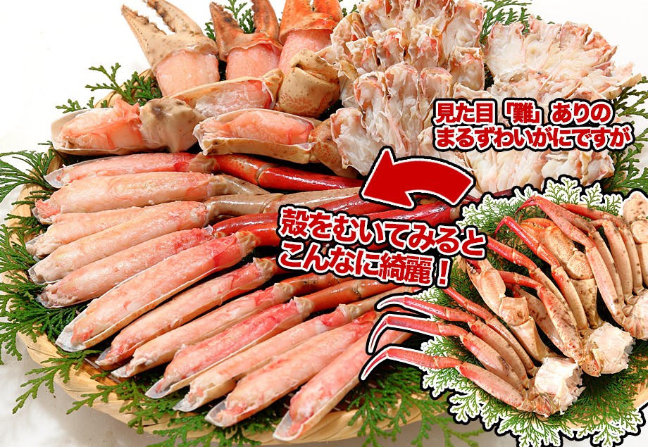 まるずわいがに 足 1kg 3肩前後入 かに カニ 蟹 ズワイガニ ずわい蟹 足 鍋 取り寄せ