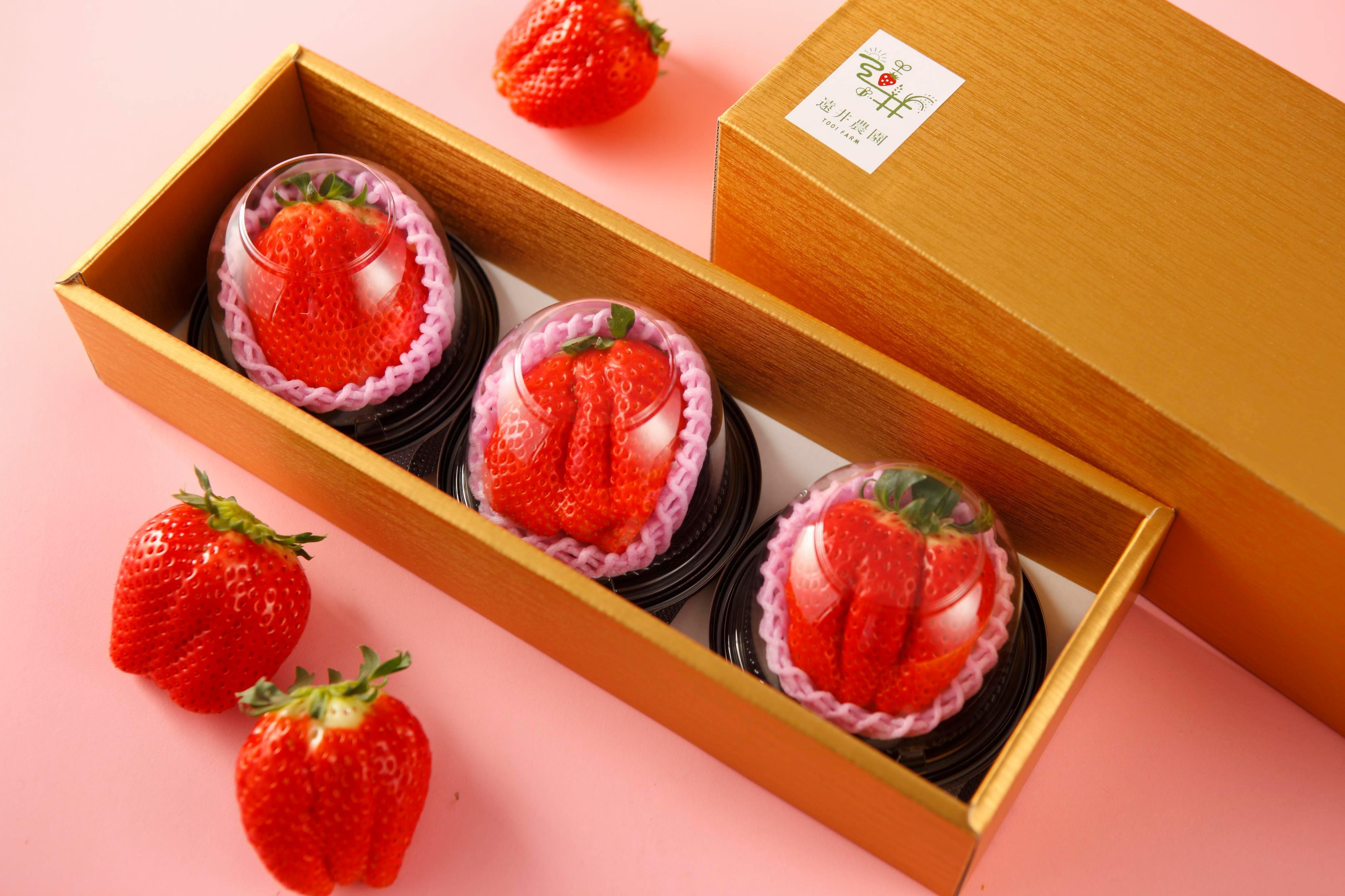 2024年分 新商品】栃木県産シャンベリー | すべての商品 | SNOW JEWELS