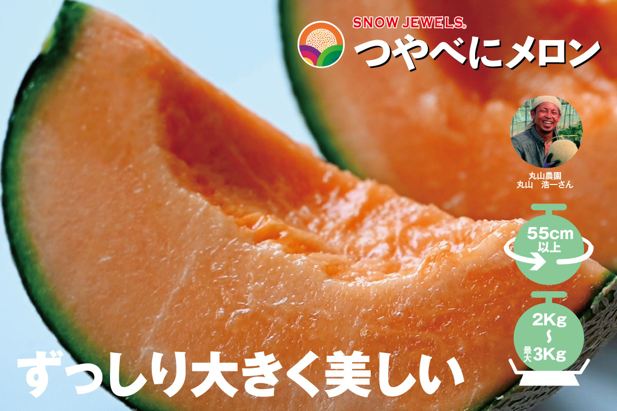 2023年予約開始】北海道富良野産 つやべにメロン | 野菜 | SNOW JEWELS
