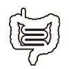 腸（消化器）のお悩み