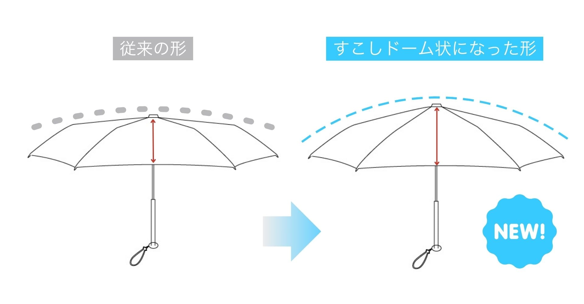 airiaドーム構造