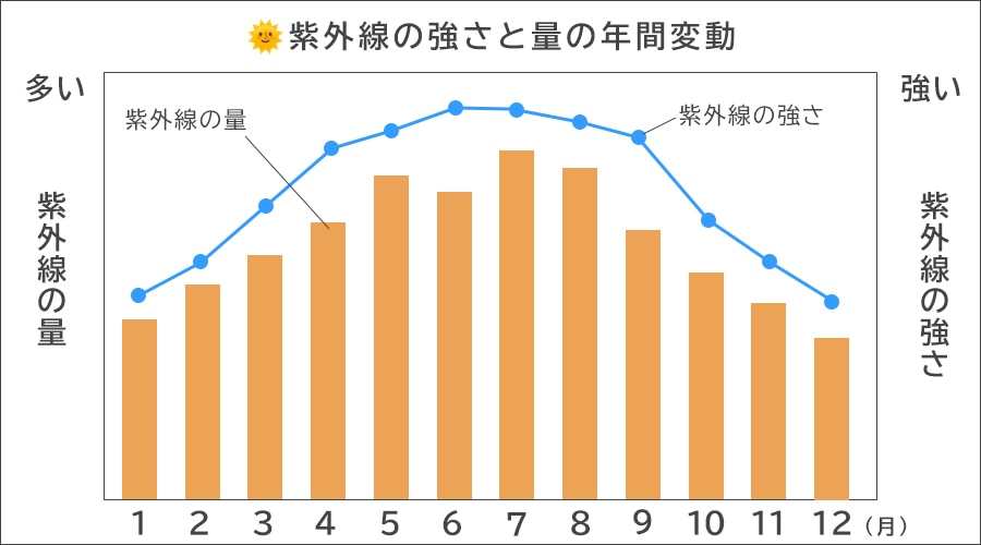 秋冬UV対策特集バナー