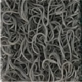 ���顼�Хꥨ�������