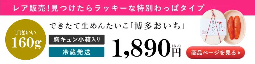 博多おいちわっぱタイプ