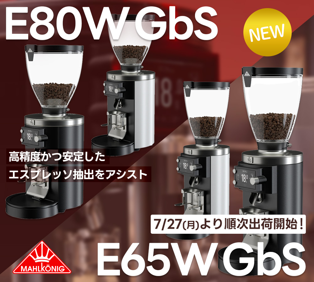 E65W GbS E80W GbS